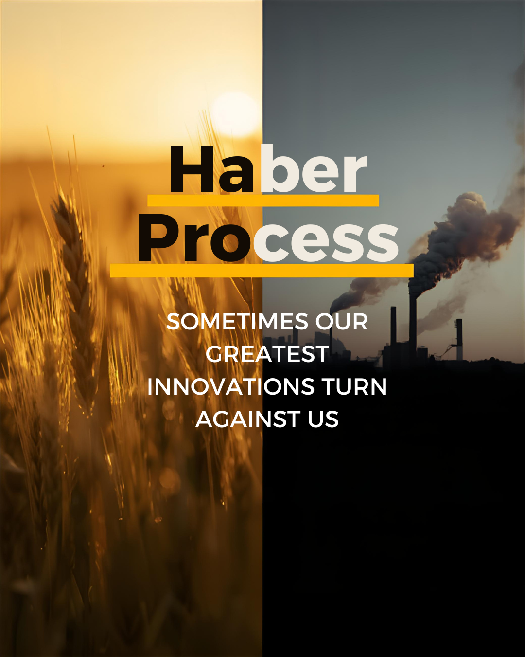 Haber Process and Its Revolutionary Impact